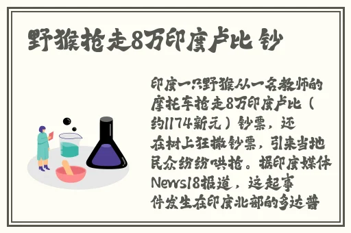 拔萝卜痛又叫黄二次元